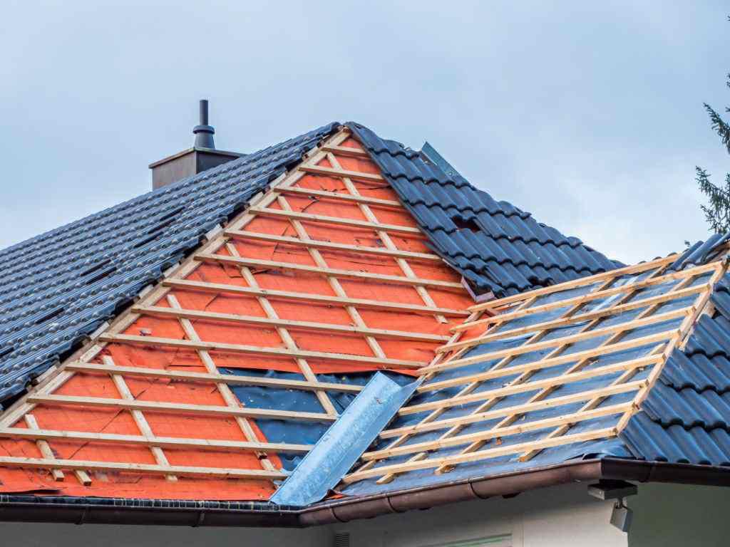 roof-img